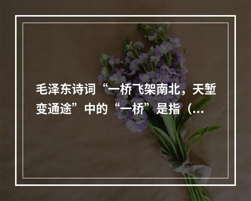 毛泽东诗词“一桥飞架南北，天堑变通途”中的“一桥”是指（）。