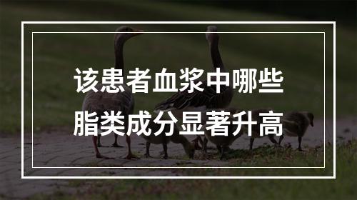 该患者血浆中哪些脂类成分显著升高