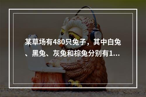 某草场有480只兔子，其中白兔、黑兔、灰兔和棕兔分别有160