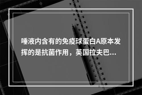 唾液内含有的免疫球蛋白A原本发挥的是抗菌作用，英国拉夫巴勒大