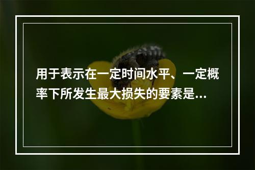 用于表示在一定时间水平、一定概率下所发生最大损失的要素是（　