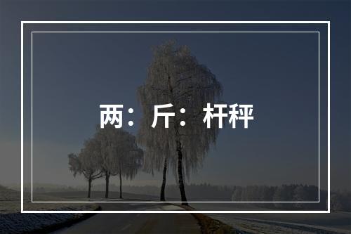 两：斤：杆秤