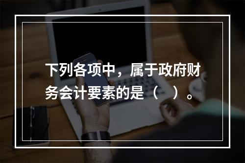 下列各项中，属于政府财务会计要素的是（　）。