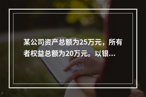 某公司资产总额为25万元，所有者权益总额为20万元。以银行存