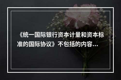 《统一国际银行资本计量和资本标准的国际协议》不包括的内容是（