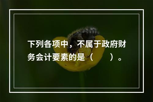 下列各项中，不属于政府财务会计要素的是（　　）。