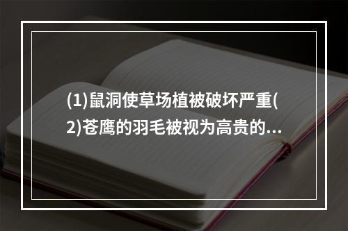 (1)鼠洞使草场植被破坏严重(2)苍鹰的羽毛被视为高贵的装饰