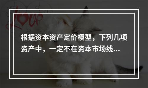 根据资本资产定价模型，下列几项资产中，一定不在资本市场线上的