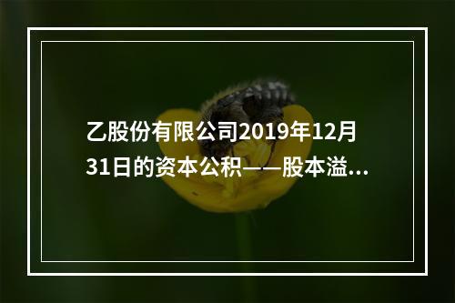 乙股份有限公司2019年12月31日的资本公积——股本溢价为