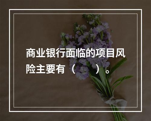 商业银行面临的项目风险主要有（　　）。