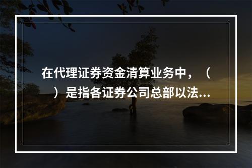 在代理证券资金清算业务中，（　　）是指各证券公司总部以法人为