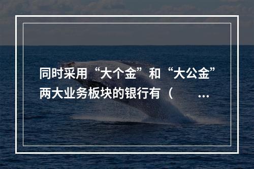 同时采用“大个金”和“大公金”两大业务板块的银行有（　　）。