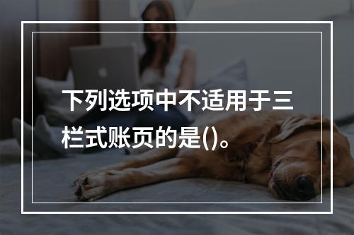 下列选项中不适用于三栏式账页的是()。