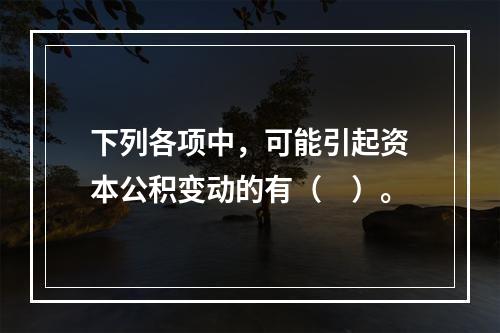 下列各项中，可能引起资本公积变动的有（　）。