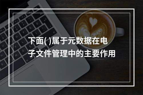 下面( )属于元数据在电子文件管理中的主要作用