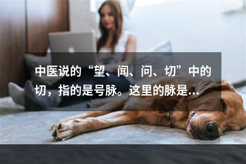 中医说的“望、闻、问、切”中的切，指的是号脉。这里的脉是指(