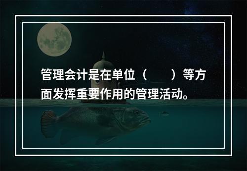 管理会计是在单位（　　）等方面发挥重要作用的管理活动。