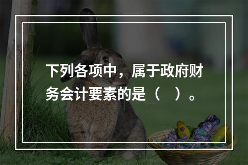 下列各项中，属于政府财务会计要素的是（　）。