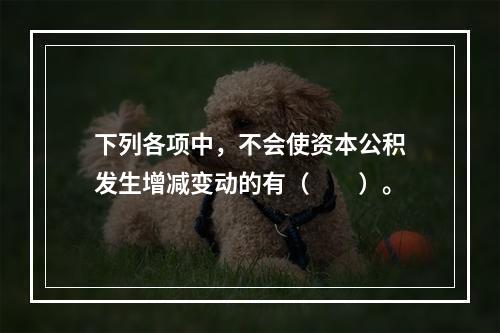 下列各项中，不会使资本公积发生增减变动的有（　　）。