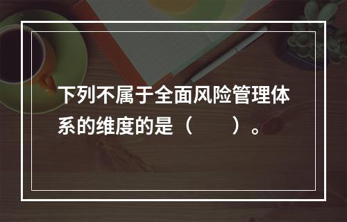 下列不属于全面风险管理体系的维度的是（　　）。