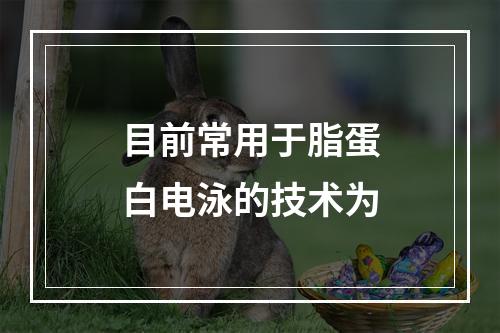 目前常用于脂蛋白电泳的技术为