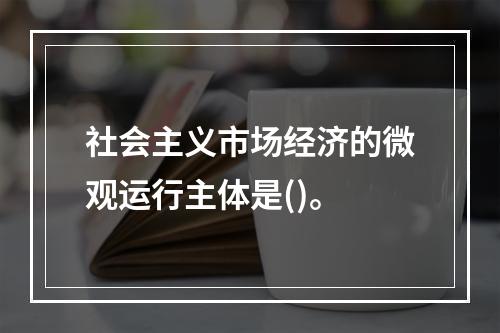 社会主义市场经济的微观运行主体是()。