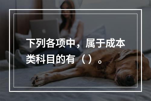 下列各项中，属于成本类科目的有（ ）。