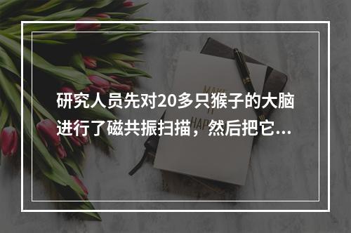 研究人员先对20多只猴子的大脑进行了磁共振扫描，然后把它们分