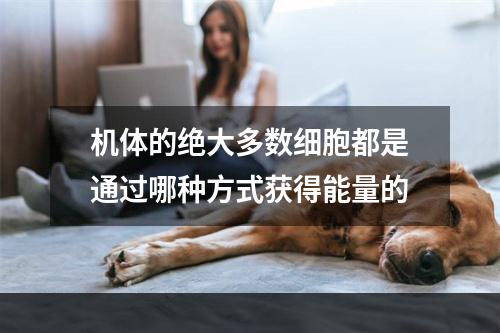 机体的绝大多数细胞都是通过哪种方式获得能量的