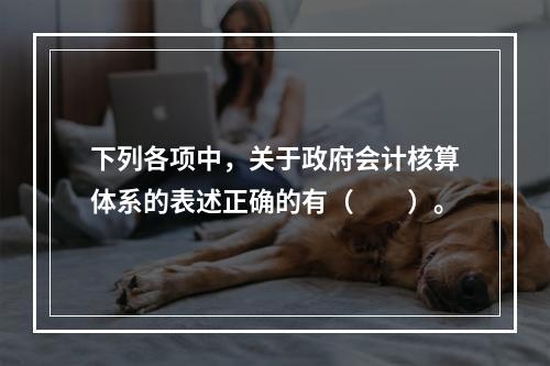 下列各项中，关于政府会计核算体系的表述正确的有（　　）。