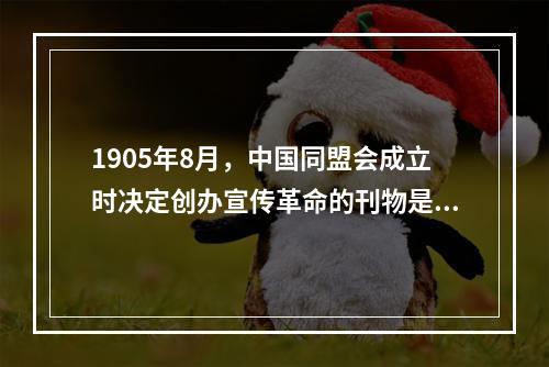 1905年8月，中国同盟会成立时决定创办宣传革命的刊物是()