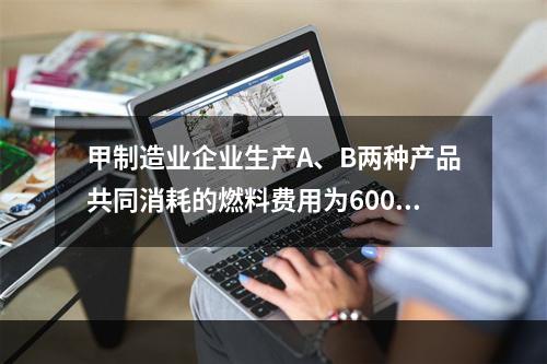 甲制造业企业生产A、B两种产品共同消耗的燃料费用为6000元