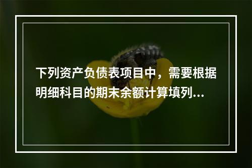 下列资产负债表项目中，需要根据明细科目的期末余额计算填列的有