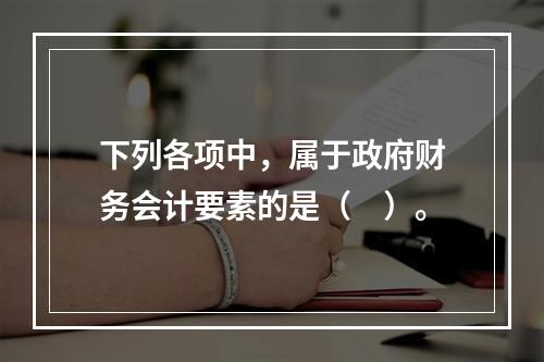 下列各项中，属于政府财务会计要素的是（　）。