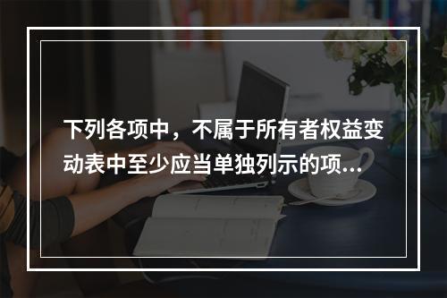 下列各项中，不属于所有者权益变动表中至少应当单独列示的项目是