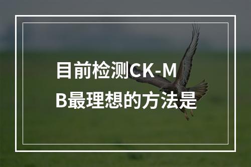 目前检测CK-MB最理想的方法是