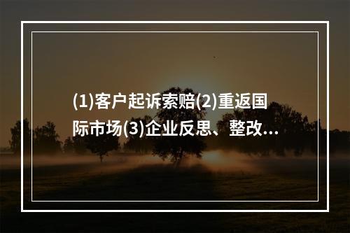 (1)客户起诉索赔(2)重返国际市场(3)企业反思、整改(4