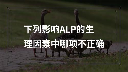 下列影响ALP的生理因素中哪项不正确