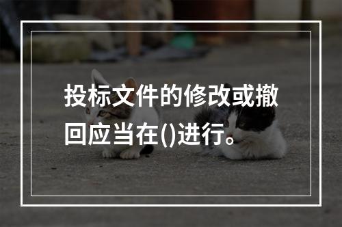 投标文件的修改或撤回应当在()进行。