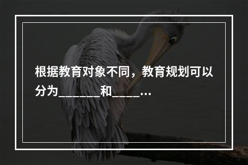 根据教育对象不同，教育规划可以分为______和______