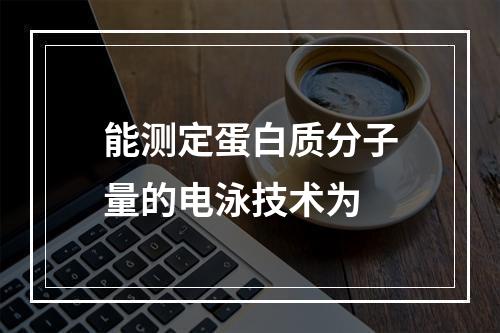 能测定蛋白质分子量的电泳技术为