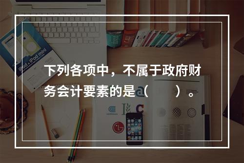 下列各项中，不属于政府财务会计要素的是（　　）。