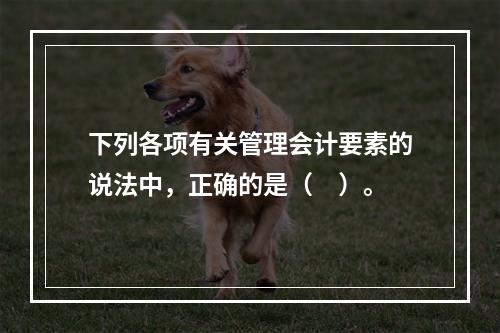 下列各项有关管理会计要素的说法中，正确的是（　）。