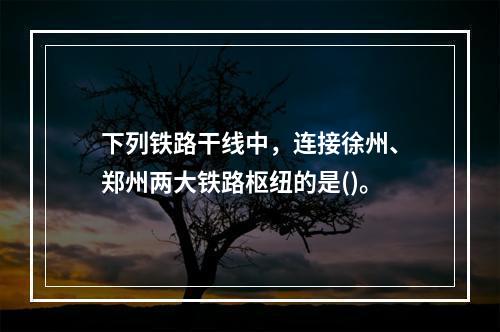 下列铁路干线中，连接徐州、郑州两大铁路枢纽的是()。