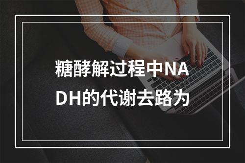 糖酵解过程中NADH的代谢去路为