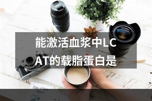 能激活血浆中LCAT的载脂蛋白是