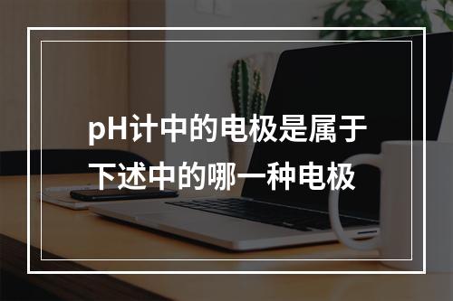 pH计中的电极是属于下述中的哪一种电极