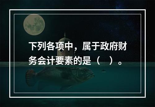 下列各项中，属于政府财务会计要素的是（　）。