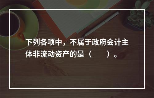 下列各项中，不属于政府会计主体非流动资产的是（　　）。