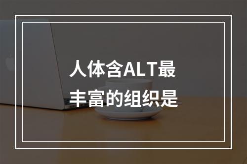 人体含ALT最丰富的组织是